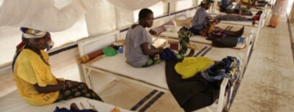 Niger: L'épidémie de méningite tue plus de 100  personnes