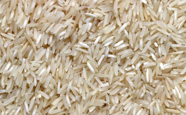 Du Sénégal au Kenya, la Corée du Sud lance le mégaprojet de « ceinture du riz »