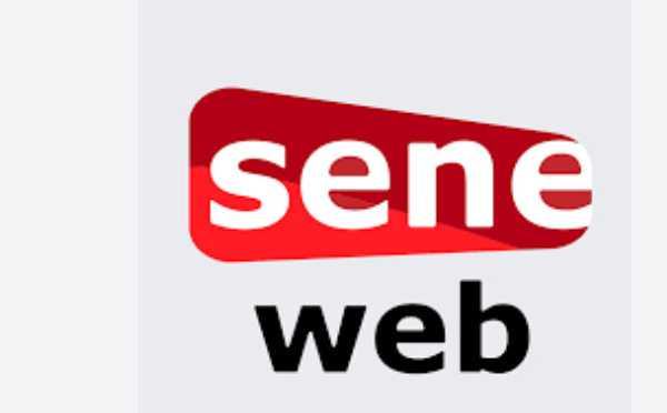 Seneweb victime d’une attaque informatique avec plus de 1,7 milliard de requêtes malveillantes en 10 jours