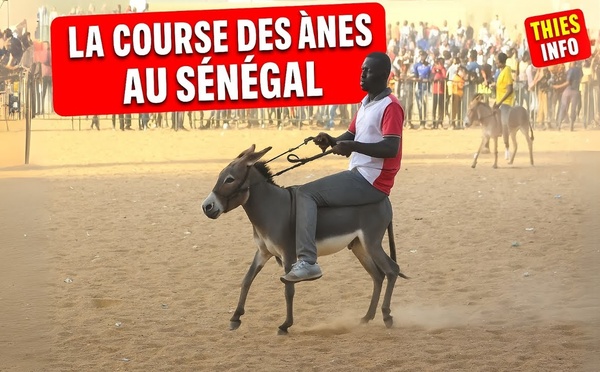 La Course des Ânes – Comédie Sénégalaise Hilarante en Wolof