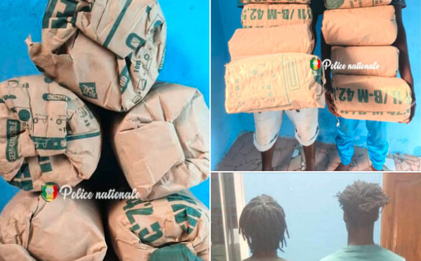 Trafic de drogue : deux individus interpellés à Ziguinchor avec 8 kg de chanvre