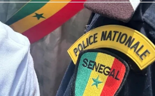 Casamance : Braquage de collecteurs de noix de cajou, 30 millions de francs CFA emportés