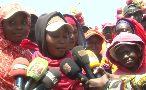 Mévente d'oignons: Les Producteurs de la Zone des Niayes interpellent le Chef de l'état