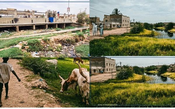 Canal de Nguinth à Thiès : un chantier abandonné devenu un danger public