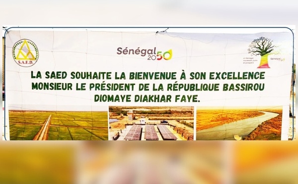 Bassirou Diomaye Faye lance la récolte de riz à Saré Walo Pendao
