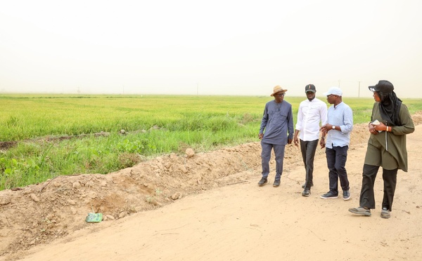 🌾 Souveraineté alimentaire : Le Président Diomaye Faye visite le Projet agricole de Savoigne, modèle de développement rural intégré