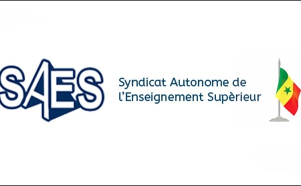 Grève de 72 heures du SAES à partir du 24 juin pour réclamer l’application d’un décret sur la retraite des enseignants-chercheurs