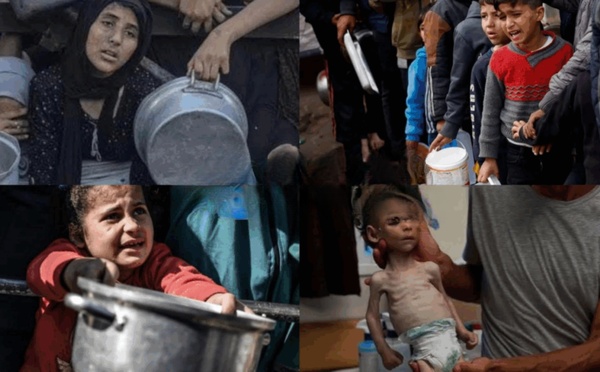 🚨 Gaza au bord de la famine : les ONG internationales lancent un cri d’alerte