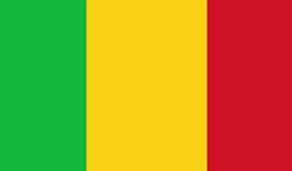 Mali : un Français et deux généraux accusés de complot subversif