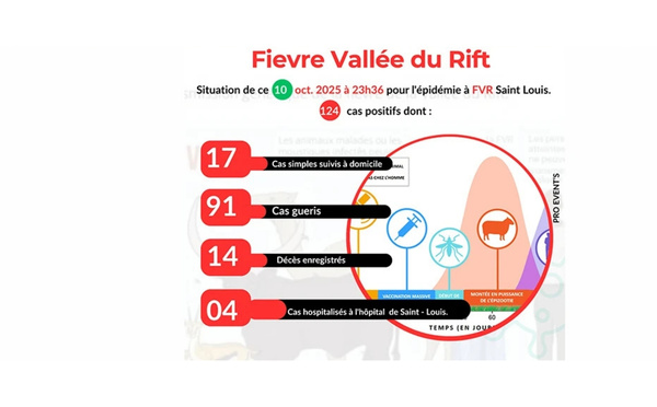 Fièvre de la Vallée du Rift : 15 décès enregistrés à Saint-Louis