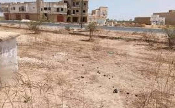 Thiès : Les souscripteurs de la SN-HLM crient leur ras-le-bol après 30 ans d’attente