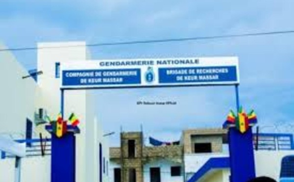 Keur Massar : la gendarmerie démantèle un réseau de trafic de chanvre indien