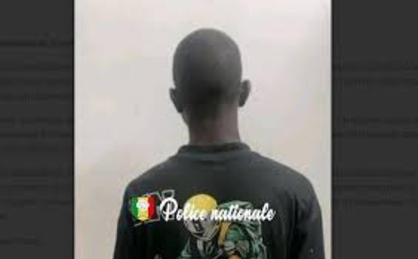 Massembé: Une jeune femme victime d’un viol collectif en plein champ, un suspect arrêté, deux en fuite