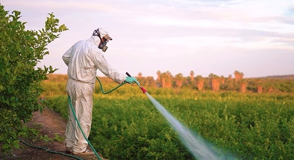 "Aucun respect pour la vie humaine en Afrique"