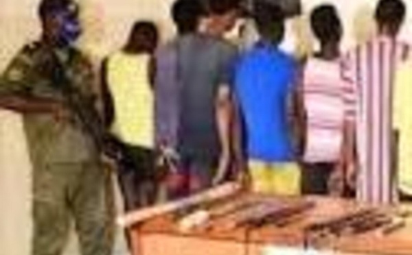 Coup de filet contre un réseau de voleurs de bétail à Kounoune