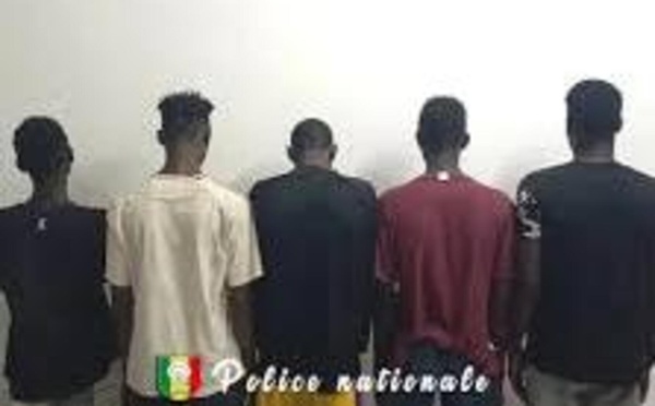 Mbacké : La police démantèle un réseau de voleurs de bétail, un berger sous bracelet électronique parmi les suspects