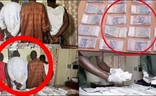 Keur Massar : un réseau de trafiquants de drogue démantelé, trois Bissau-Guinéens arrêtés avec 25 kg de cocaïne et autres produits illicites