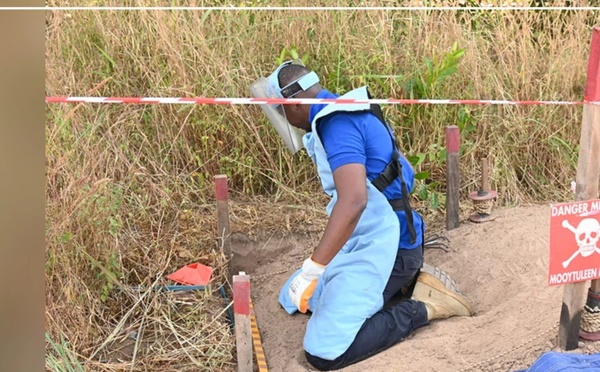 Casamance : plus de 1,28 million de mètres carrés restent à déminer, selon le CNAMS