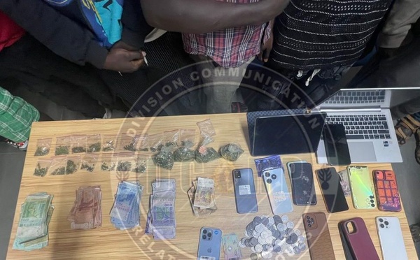 Mbao : la gendarmerie démantèle un réseau criminel international de drogue