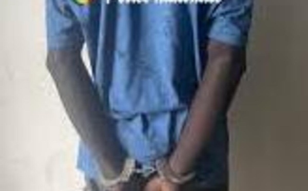 Livraison de chanvre déjouée à Bignona : un tailleur sous mandat de dépôt