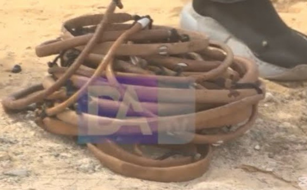 Découverte inquiétante au cimetière des Abattoirs lors d’une opération de désherbage