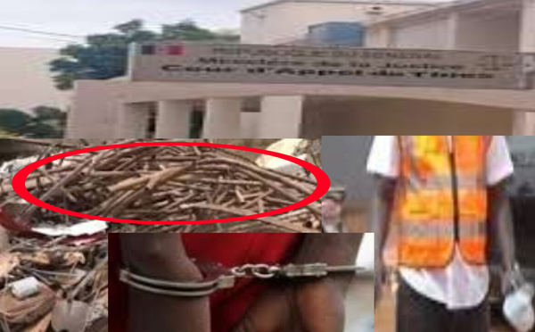 Thiès : un maçon condamné après un vol de ferraille audacieux