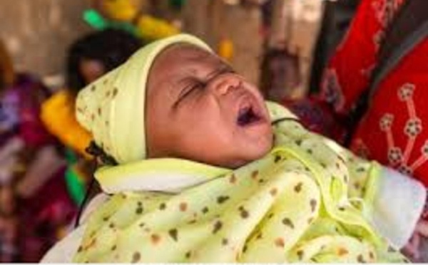 Amadou et Oumy Niang, parents du premier bébé de New York en 2026