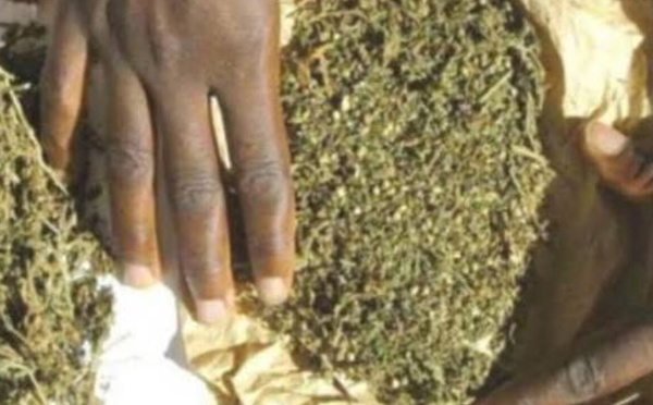 Touba : une opération policière met fin à une nuit de consommation de chanvre