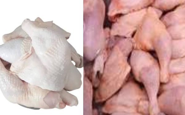 Importation frauduleuse : des tonnes de poulet saisies par la Douane