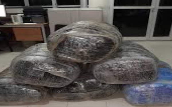 Ngazobil : 170 kg de chanvre indien saisis après chavirement d’une pirogue