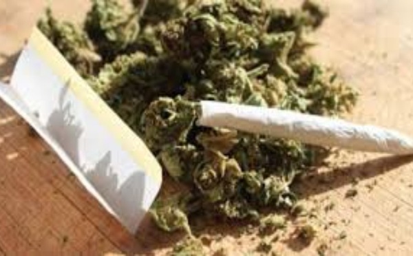 Tribunal de Thiès : deux mois ferme requis contre un conducteur d’engins