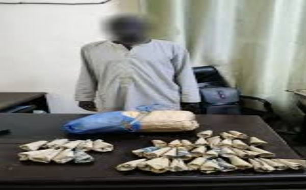 Fatick : un éleveur de 55 ans au cœur d’un réseau de trafic démantelé par l’Office central pour la répression du trafic illicite des stupéfiants