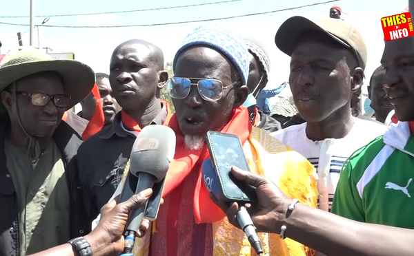 Colère dans les Niayes : des producteurs jettent des tonnes de pommes de terre et de légumes