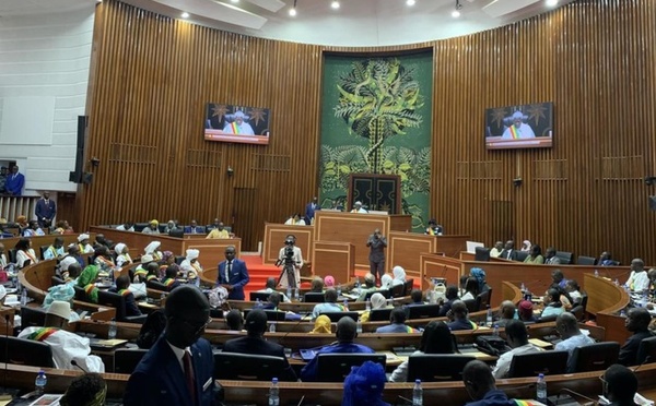 Produits Softcare : la mission parlementaire prolonge ses investigations jusqu’au 5 avril