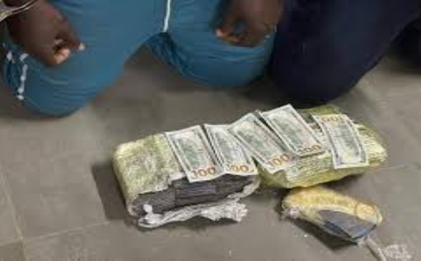 Ziguinchor : importante saisie de faux billets de 100 dollars