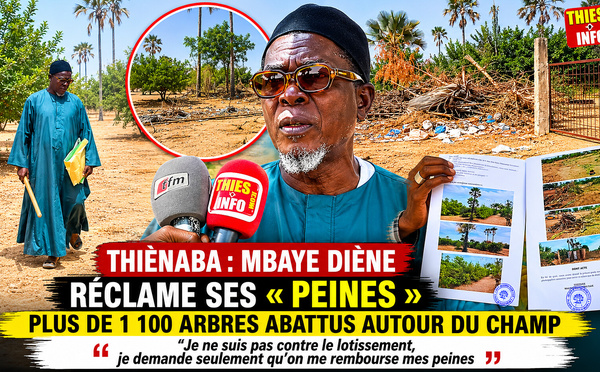 Mbaye Diène réclame ses « peines » après le lotissement de son champ familial