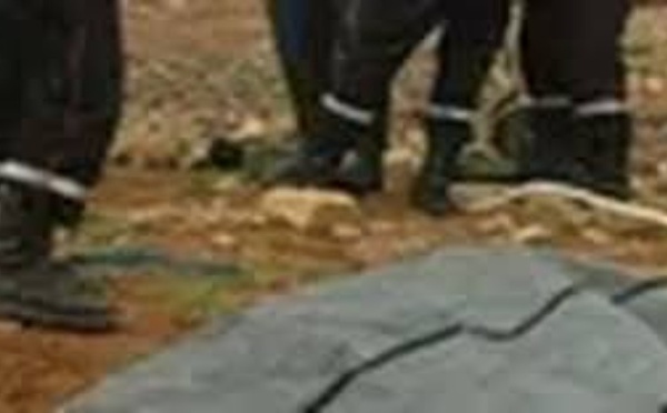 Tambacounda : un corps en décomposition découvert pendu à un arbre, le procureur ordonne son inhumation