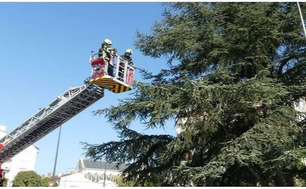 Thiès : un homme de 60 ans échappe au pire après une chute évitée de justesse