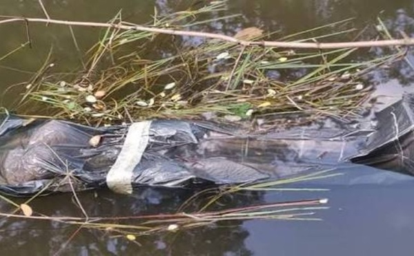Bargny : retrouvé mort près du TER, un commerçant était en route vers Kaolack