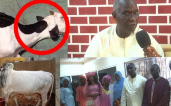 SÉNÉGAL : Naissance de « And Suxali Sunu Élevage », un nouveau géant pastoral à vocation nationale