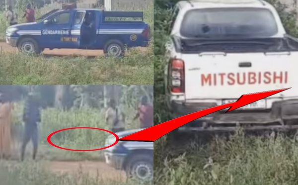 Cambriolage de l’IMCEC : des malfaiteurs armés échangent des tirs avec les gendarmes à Mbirdiam