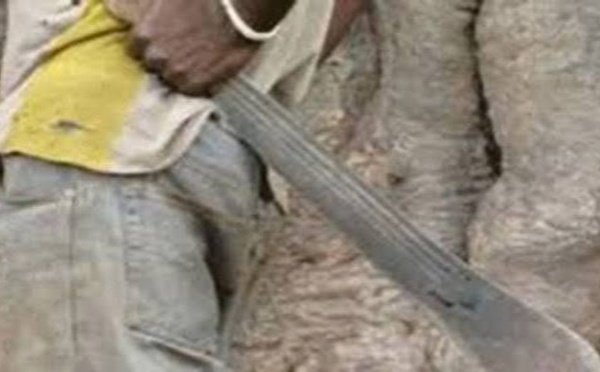 Gassane : un couple, dont une femme enceinte, grièvement blessé lors d’une attaque attribuée à des voleurs de bétail