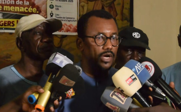 THIÈS : MAMADOU BA ALERTE SUR UN PROJET DE FERME D’UN MILLION DE POULES PONDEUSES ET LA CONCURRENCE DES INVESTISSEURS ÉTRANGERS