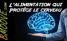 Protéger son cerveau par l'alimentation : une arme contre la maladie d'Alzheimer