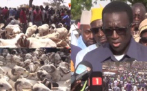 Le Ministre de l'Élevage, Amadou BA, rassure : "Les moutons sont là, pas de panique pour la Tabaski"