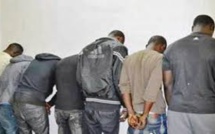 Sandiara : Déménagement d'un gang de voleur de porcs par la gendarmerie