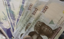 La dévaluation du naira nigérian relance le débat sur le franc CFA et sur la monnaie commune de la CEDEAO