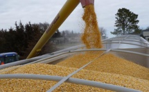 La Russie ne reviendra pas dans l’accord céréalier sans la satisfaction de ses demandes (Vladimir Poutine) La Russie ne reviendra pas dans l’accord céréalier sans la satisfaction de ses demandes (Vladimir Poutine)