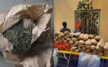 Médina rue 1×16:Une femme de 50 ans et un homme de 64 ans arrêtés avec 121 kilos de chanvre indien