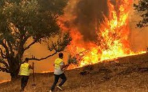 Violents incendies en Algérie : Nouveau bilan alarmant